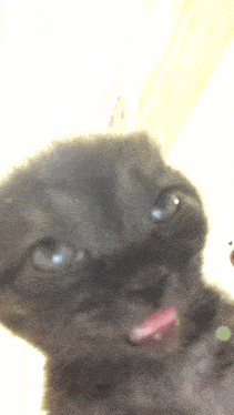 Eepy ahh